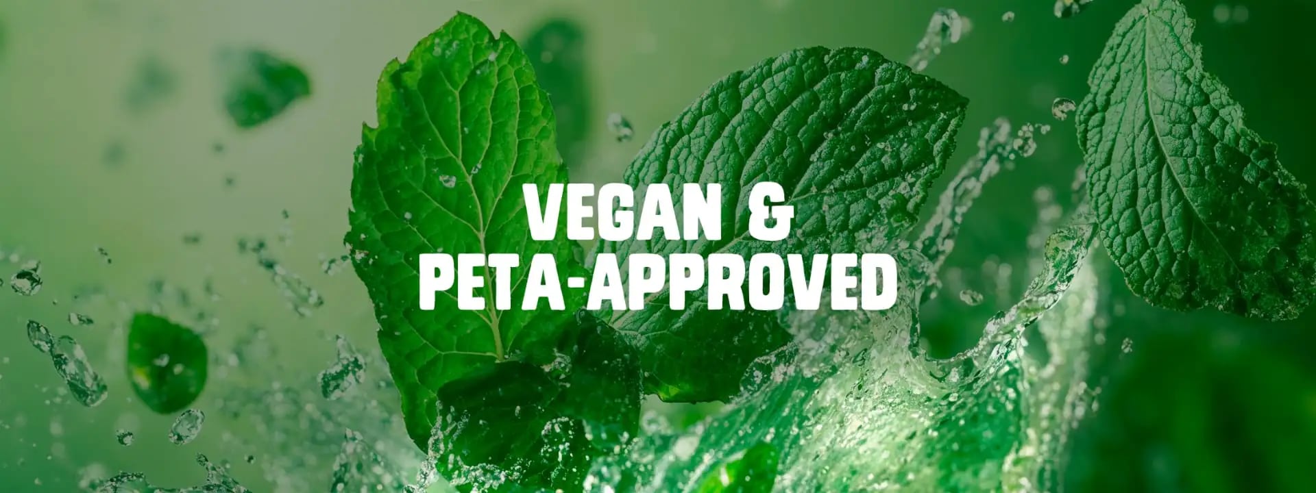 Vegan & Peta-Approved